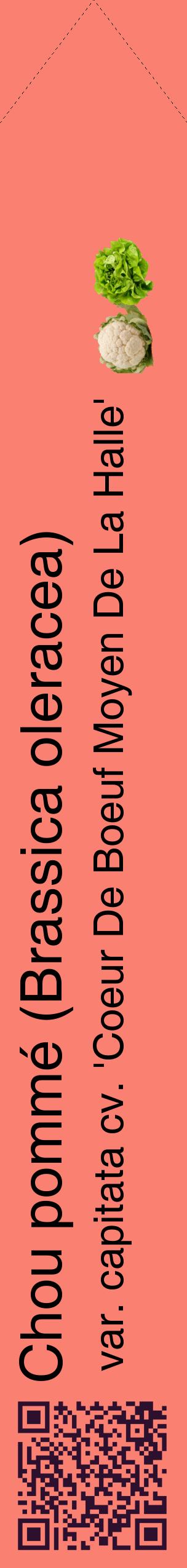 Étiquette de : Brassica oleracea var. capitata cv. 'Coeur De Boeuf Moyen De La Halle' - format c - style noire38_simplehel avec qrcode et comestibilité simplifiée