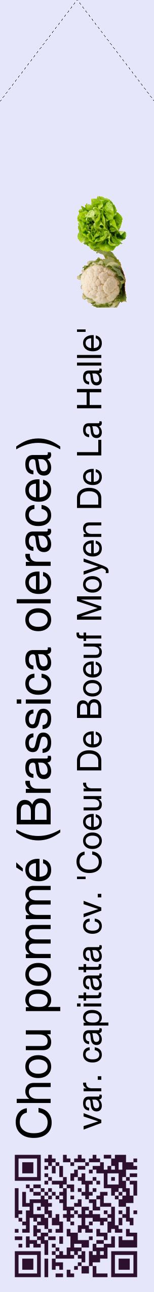 Étiquette de : Brassica oleracea var. capitata cv. 'Coeur De Boeuf Moyen De La Halle' - format c - style noire55_simplehel avec qrcode et comestibilité simplifiée