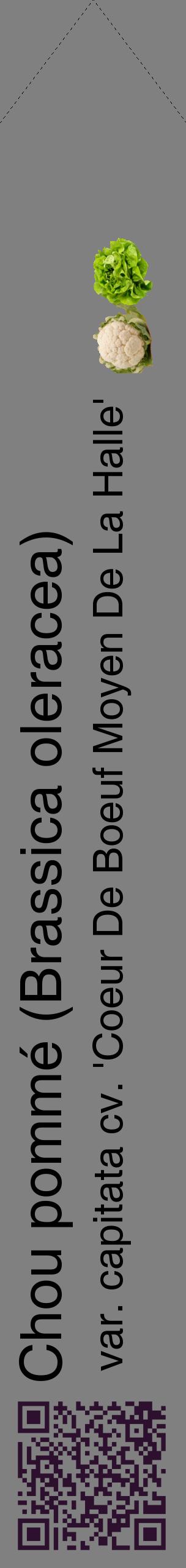 Étiquette de : Brassica oleracea var. capitata cv. 'Coeur De Boeuf Moyen De La Halle' - format c - style noire57_simplehel avec qrcode et comestibilité simplifiée
