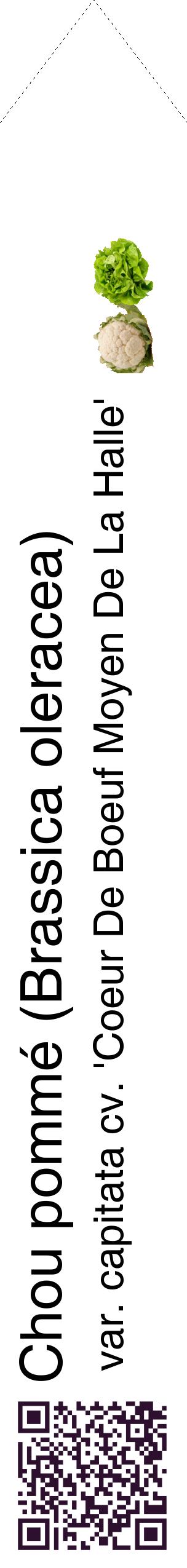 Étiquette de : Brassica oleracea var. capitata cv. 'Coeur De Boeuf Moyen De La Halle' - format c - style noire60_simplehel avec qrcode et comestibilité simplifiée