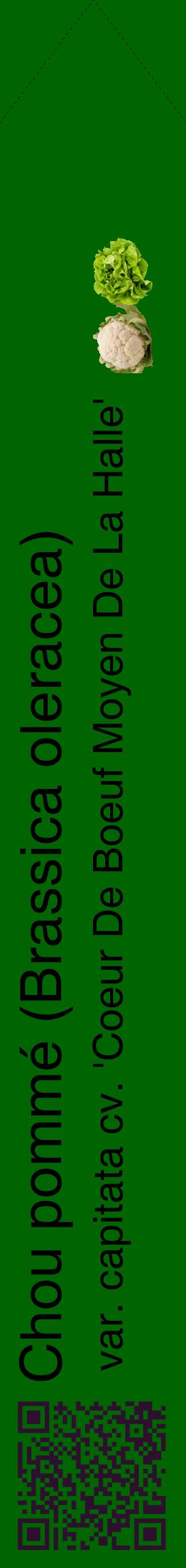 Étiquette de : Brassica oleracea var. capitata cv. 'Coeur De Boeuf Moyen De La Halle' - format c - style noire8_simplehel avec qrcode et comestibilité simplifiée
