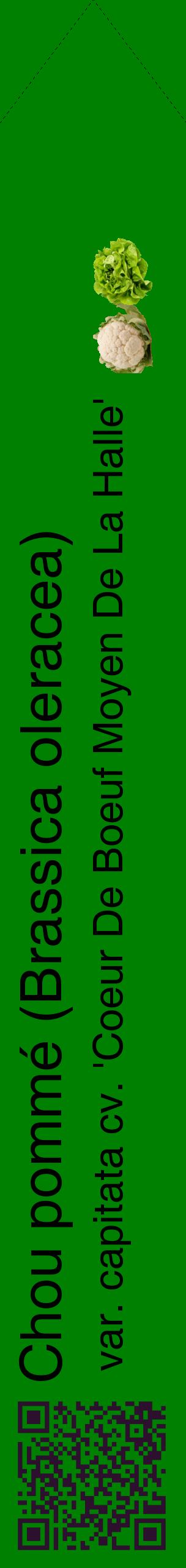 Étiquette de : Brassica oleracea var. capitata cv. 'Coeur De Boeuf Moyen De La Halle' - format c - style noire9_simplehel avec qrcode et comestibilité simplifiée