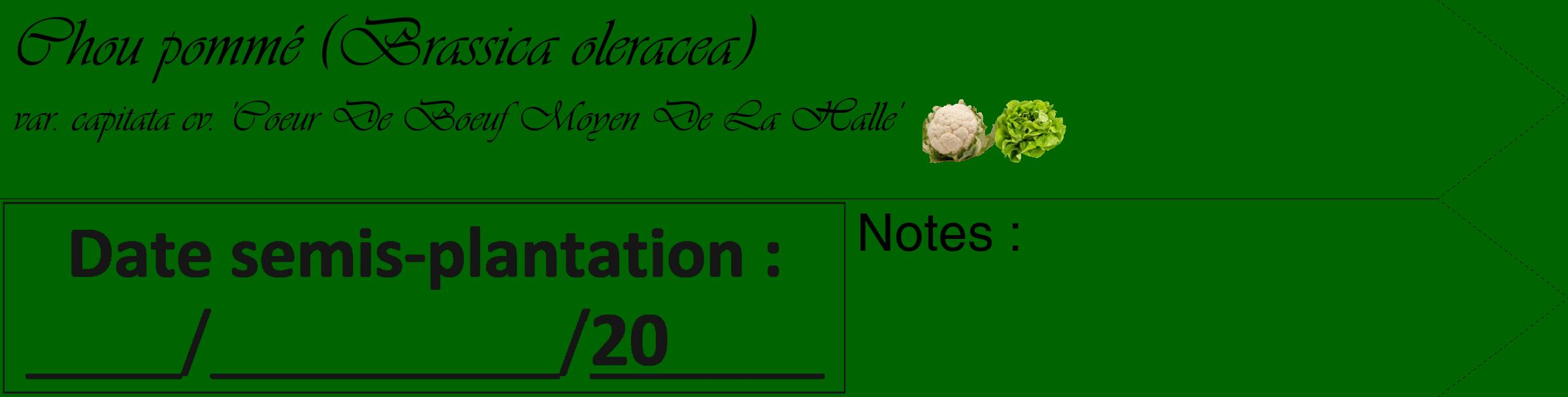 Étiquette de : Brassica oleracea var. capitata cv. 'Coeur De Boeuf Moyen De La Halle' - format c - style noire8_simple_simpleviv avec comestibilité simplifiée