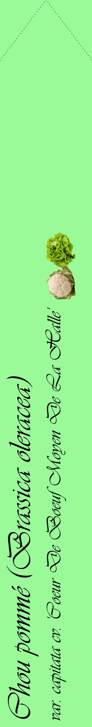 Étiquette de : Brassica oleracea var. capitata cv. 'Coeur De Boeuf Moyen De La Halle' - format c - style noire14_simpleviv avec comestibilité simplifiée