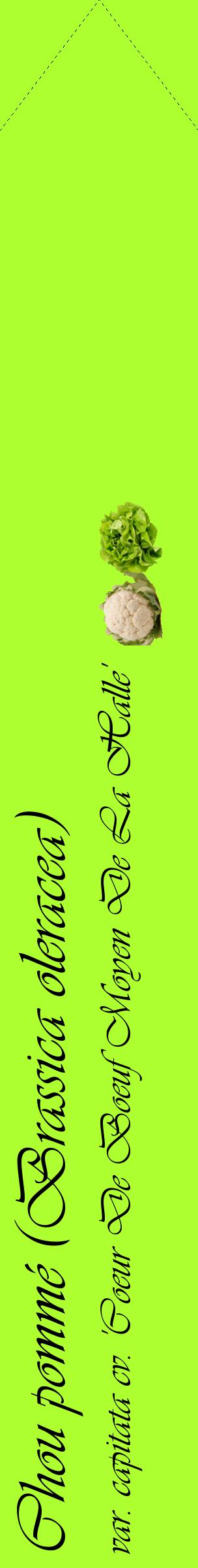 Étiquette de : Brassica oleracea var. capitata cv. 'Coeur De Boeuf Moyen De La Halle' - format c - style noire17_simpleviv avec comestibilité simplifiée