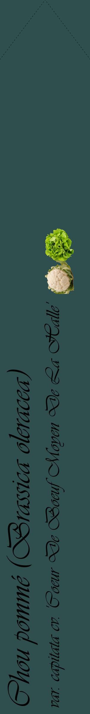 Étiquette de : Brassica oleracea var. capitata cv. 'Coeur De Boeuf Moyen De La Halle' - format c - style noire58_simpleviv avec comestibilité simplifiée