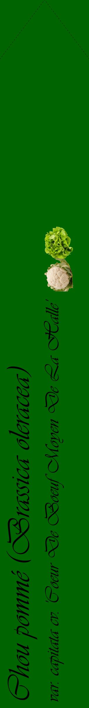 Étiquette de : Brassica oleracea var. capitata cv. 'Coeur De Boeuf Moyen De La Halle' - format c - style noire8_simpleviv avec comestibilité simplifiée