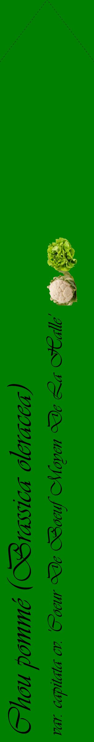 Étiquette de : Brassica oleracea var. capitata cv. 'Coeur De Boeuf Moyen De La Halle' - format c - style noire9_simpleviv avec comestibilité simplifiée