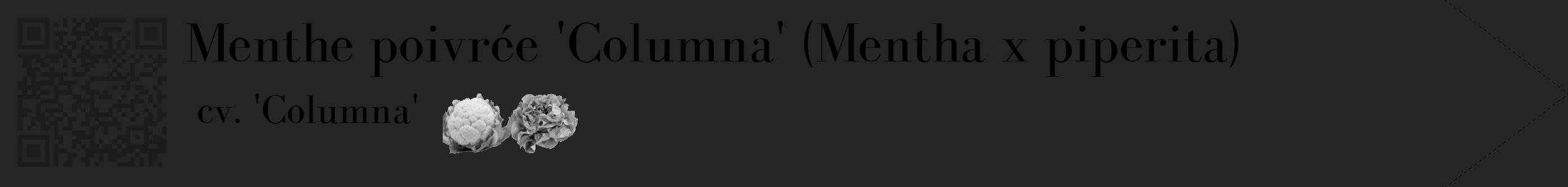 Étiquette de : Mentha x piperita cv. 'Columna' - format c - style noire47_simple_simplebod avec qrcode et comestibilité simplifiée