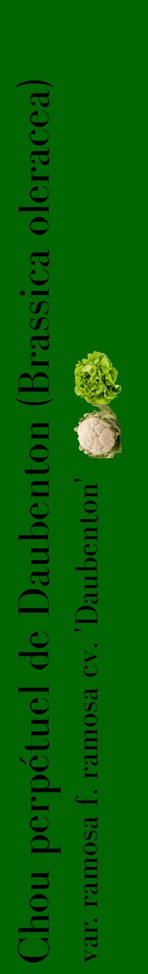 Étiquette de : Brassica oleracea var. ramosa f. ramosa cv. 'Daubenton' - format c - style noire8_basiquebod avec comestibilité simplifiée