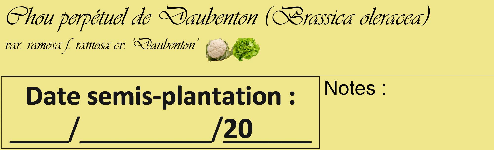 Étiquette de : Brassica oleracea var. ramosa f. ramosa cv. 'Daubenton' - format c - style noire20basique_basique_basiqueviv avec comestibilité simplifiée