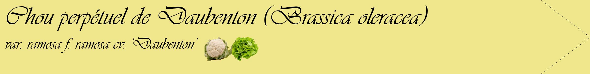 Étiquette de : Brassica oleracea var. ramosa f. ramosa cv. 'Daubenton' - format c - style noire20simple_simple_simpleviv avec comestibilité simplifiée