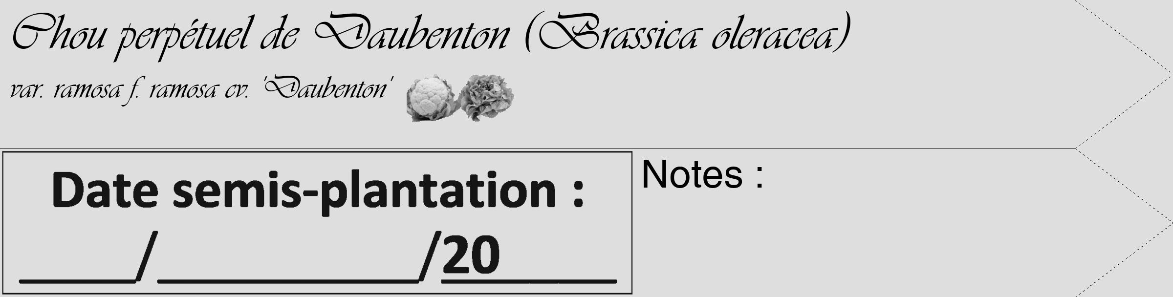 Étiquette de : Brassica oleracea var. ramosa f. ramosa cv. 'Daubenton' - format c - style noire20simple_simple_simpleviv avec comestibilité simplifiée