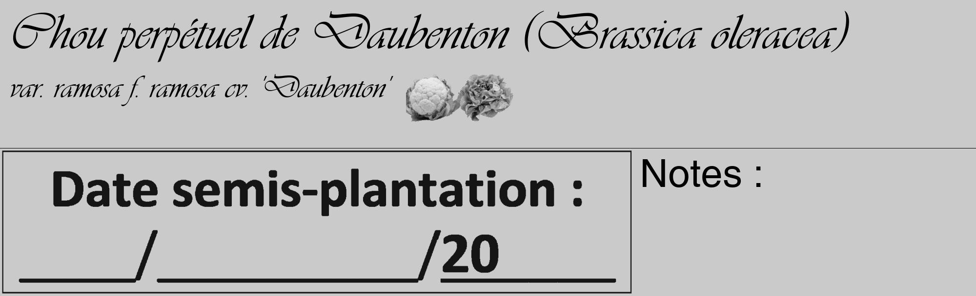 Étiquette de : Brassica oleracea var. ramosa f. ramosa cv. 'Daubenton' - format c - style noire21_basique_basiqueviv avec comestibilité simplifiée