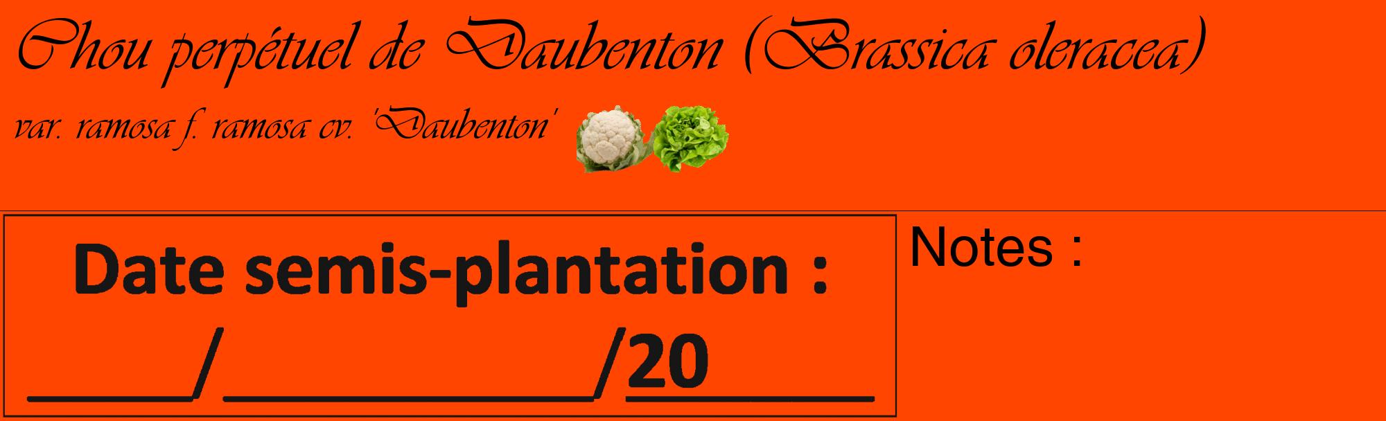 Étiquette de : Brassica oleracea var. ramosa f. ramosa cv. 'Daubenton' - format c - style noire26_basique_basiqueviv avec comestibilité simplifiée