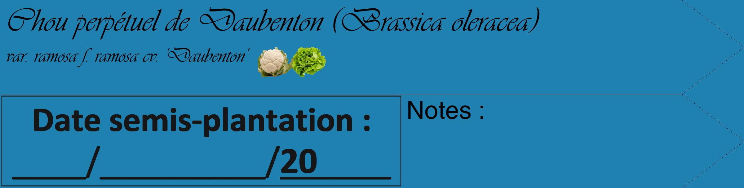 Étiquette de : Brassica oleracea var. ramosa f. ramosa cv. 'Daubenton' - format c - style noire6_simple_simpleviv avec comestibilité simplifiée