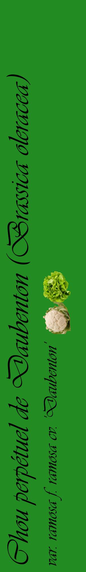 Étiquette de : Brassica oleracea var. ramosa f. ramosa cv. 'Daubenton' - format c - style noire10_basiqueviv avec comestibilité simplifiée