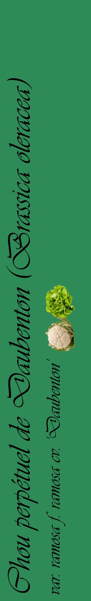 Étiquette de : Brassica oleracea var. ramosa f. ramosa cv. 'Daubenton' - format c - style noire11_basiqueviv avec comestibilité simplifiée