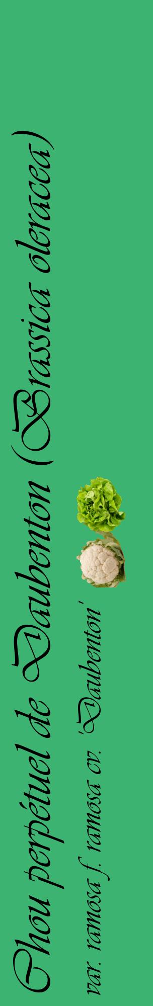 Étiquette de : Brassica oleracea var. ramosa f. ramosa cv. 'Daubenton' - format c - style noire12_basiqueviv avec comestibilité simplifiée