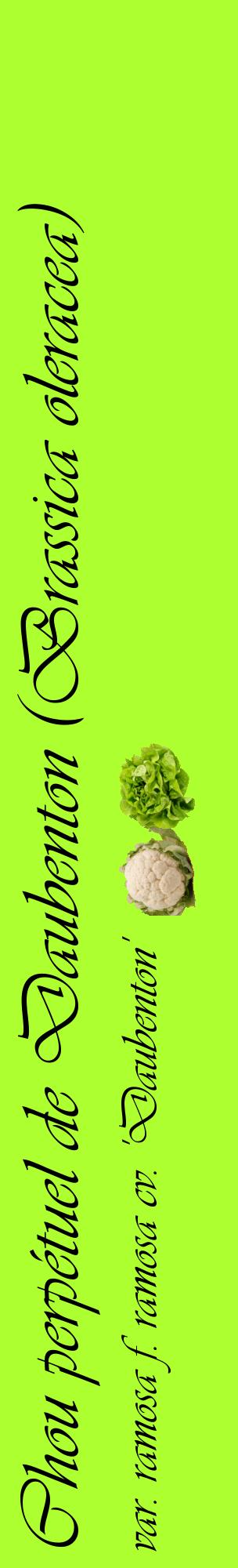 Étiquette de : Brassica oleracea var. ramosa f. ramosa cv. 'Daubenton' - format c - style noire17_basiqueviv avec comestibilité simplifiée