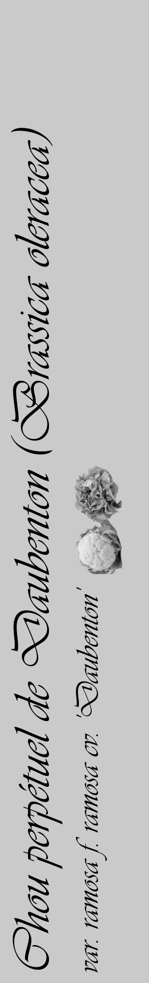 Étiquette de : Brassica oleracea var. ramosa f. ramosa cv. 'Daubenton' - format c - style noire21_basique_basiqueviv avec comestibilité simplifiée - position verticale