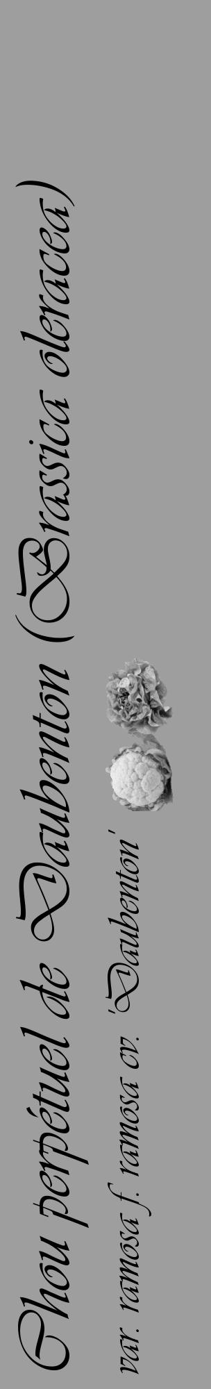 Étiquette de : Brassica oleracea var. ramosa f. ramosa cv. 'Daubenton' - format c - style noire23_basique_basiqueviv avec comestibilité simplifiée - position verticale