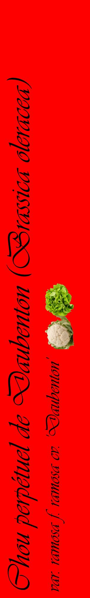 Étiquette de : Brassica oleracea var. ramosa f. ramosa cv. 'Daubenton' - format c - style noire27_basiqueviv avec comestibilité simplifiée