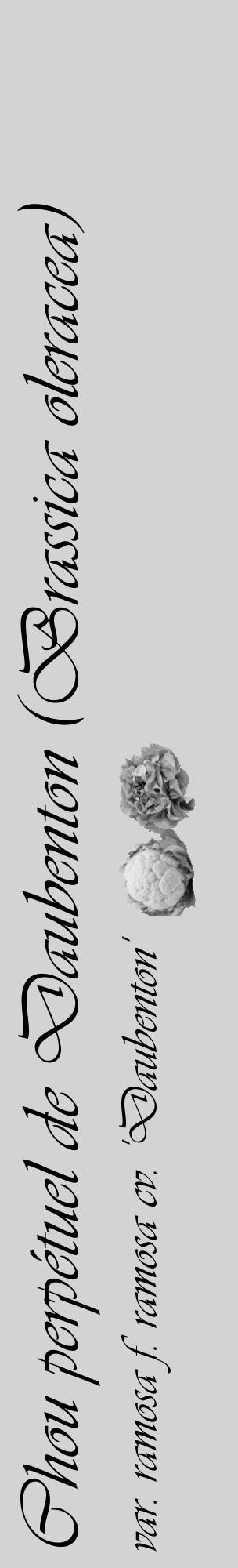 Étiquette de : Brassica oleracea var. ramosa f. ramosa cv. 'Daubenton' - format c - style noire56_basique_basiqueviv avec comestibilité simplifiée - position verticale