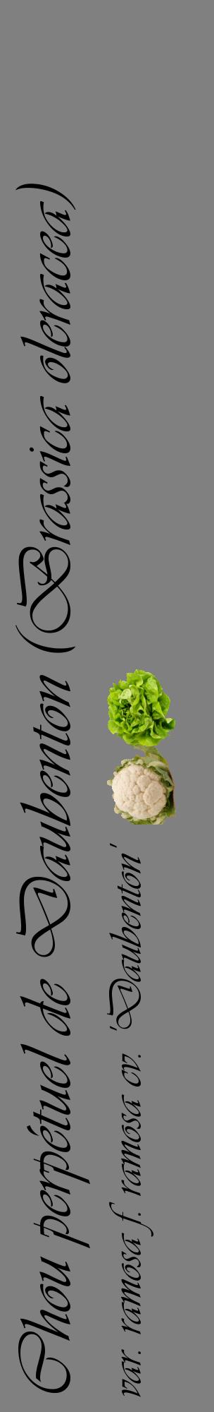 Étiquette de : Brassica oleracea var. ramosa f. ramosa cv. 'Daubenton' - format c - style noire57_basiqueviv avec comestibilité simplifiée