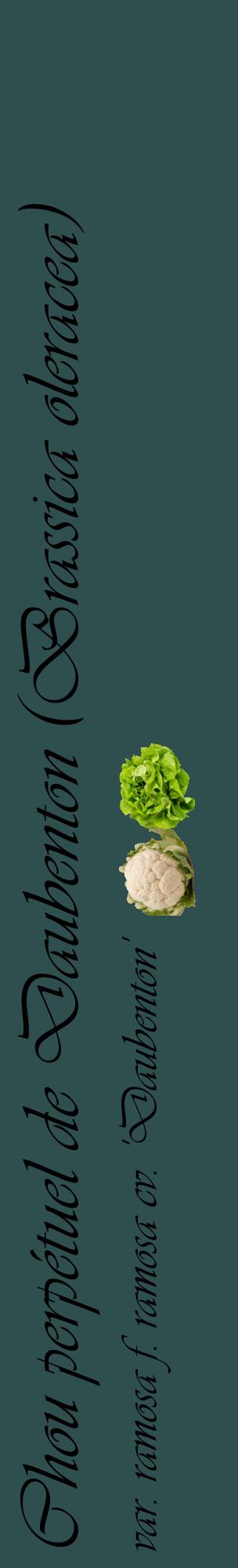 Étiquette de : Brassica oleracea var. ramosa f. ramosa cv. 'Daubenton' - format c - style noire58_basiqueviv avec comestibilité simplifiée