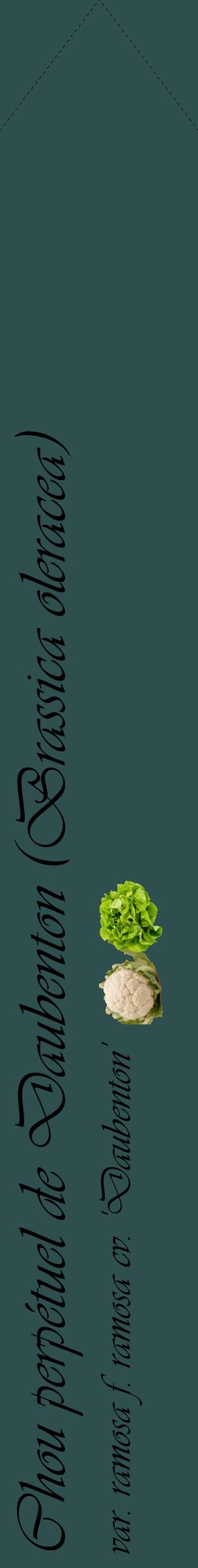 Étiquette de : Brassica oleracea var. ramosa f. ramosa cv. 'Daubenton' - format c - style noire58_simpleviv avec comestibilité simplifiée