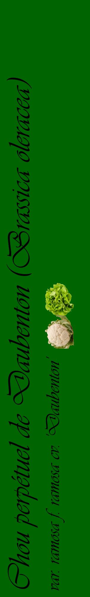 Étiquette de : Brassica oleracea var. ramosa f. ramosa cv. 'Daubenton' - format c - style noire8_basiqueviv avec comestibilité simplifiée
