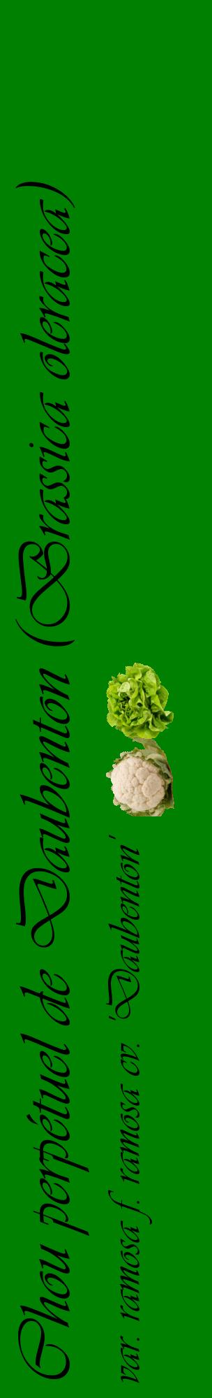 Étiquette de : Brassica oleracea var. ramosa f. ramosa cv. 'Daubenton' - format c - style noire9_basiqueviv avec comestibilité simplifiée