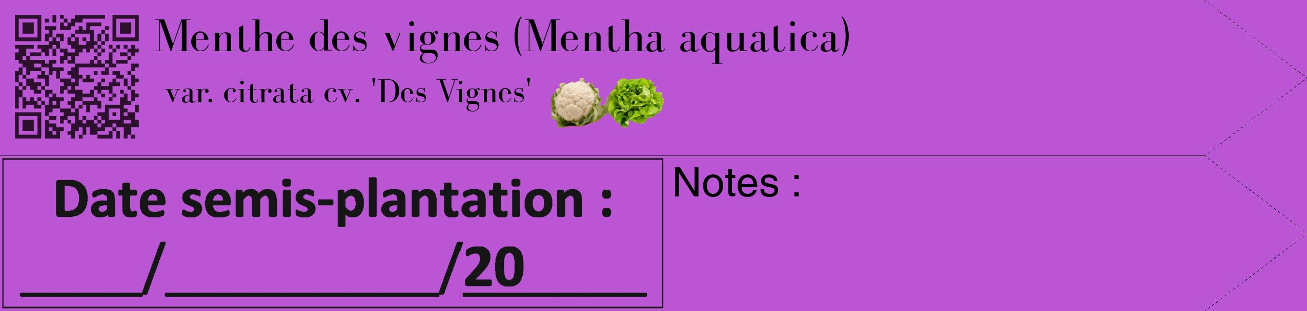 Étiquette de : Mentha aquatica var. citrata cv. 'Des Vignes' - format c - style noire50_simple_simplebod avec qrcode et comestibilité simplifiée