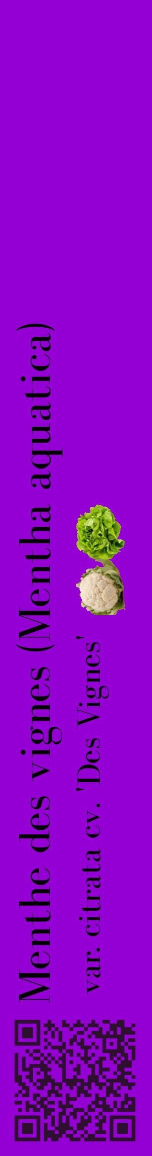 Étiquette de : Mentha aquatica var. citrata cv. 'Des Vignes' - format c - style noire48_basiquebod avec qrcode et comestibilité simplifiée