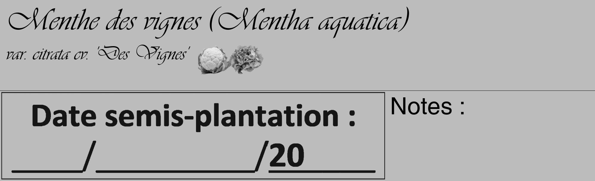 Étiquette de : Mentha aquatica var. citrata cv. 'Des Vignes' - format c - style noire1_basique_basiqueviv avec comestibilité simplifiée