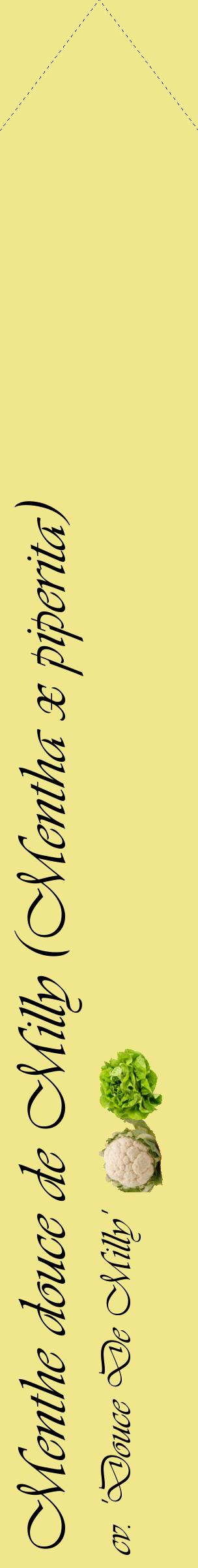 Étiquette de : Mentha x piperita cv. 'Douce De Milly' - format c - style noire20_simpleviv avec comestibilité simplifiée