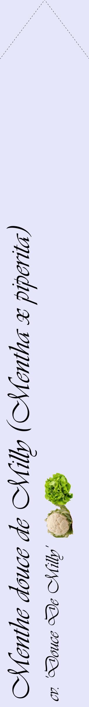 Étiquette de : Mentha x piperita cv. 'Douce De Milly' - format c - style noire55_simpleviv avec comestibilité simplifiée