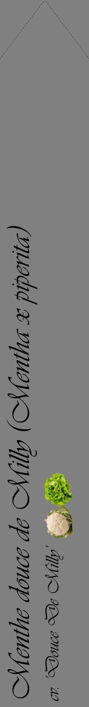 Étiquette de : Mentha x piperita cv. 'Douce De Milly' - format c - style noire57_simpleviv avec comestibilité simplifiée