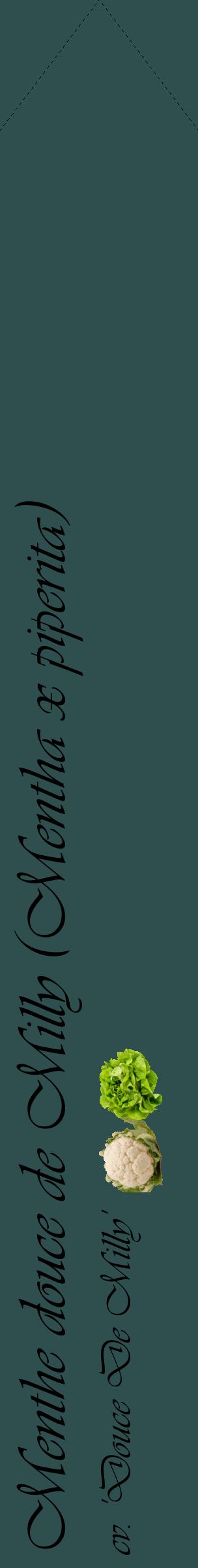 Étiquette de : Mentha x piperita cv. 'Douce De Milly' - format c - style noire58_simpleviv avec comestibilité simplifiée