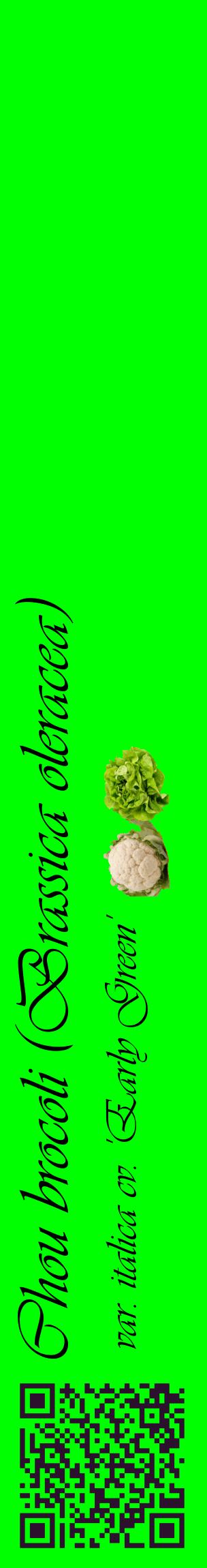 Étiquette de : Brassica oleracea var. italica cv. 'Early Green' - format c - style noire16_basiqueviv avec qrcode et comestibilité simplifiée
