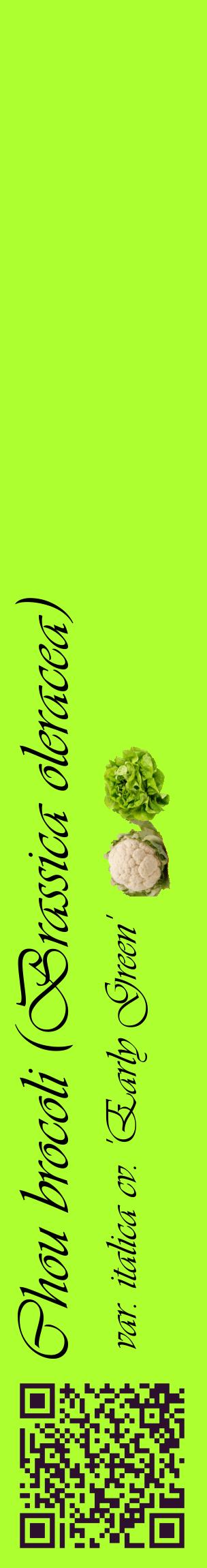 Étiquette de : Brassica oleracea var. italica cv. 'Early Green' - format c - style noire17_basiqueviv avec qrcode et comestibilité simplifiée