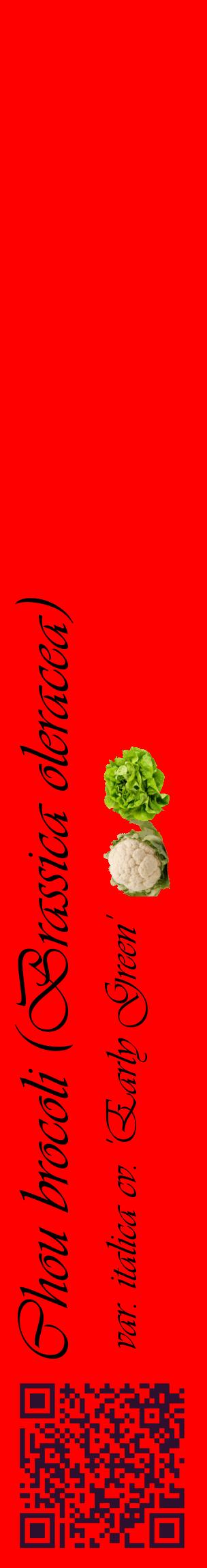 Étiquette de : Brassica oleracea var. italica cv. 'Early Green' - format c - style noire27_basiqueviv avec qrcode et comestibilité simplifiée