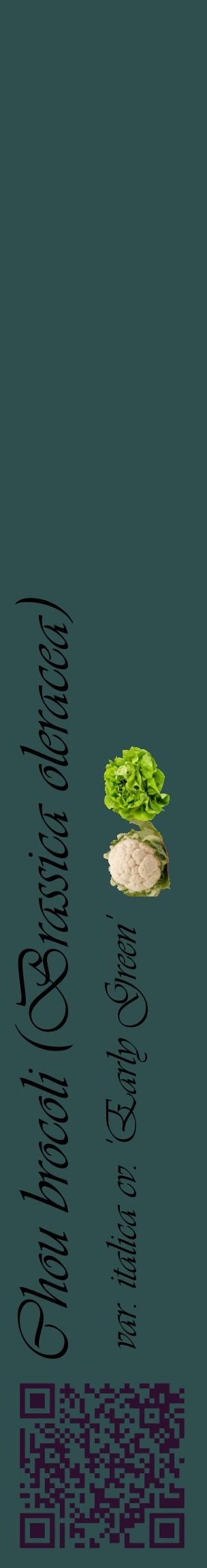 Étiquette de : Brassica oleracea var. italica cv. 'Early Green' - format c - style noire58_basiqueviv avec qrcode et comestibilité simplifiée