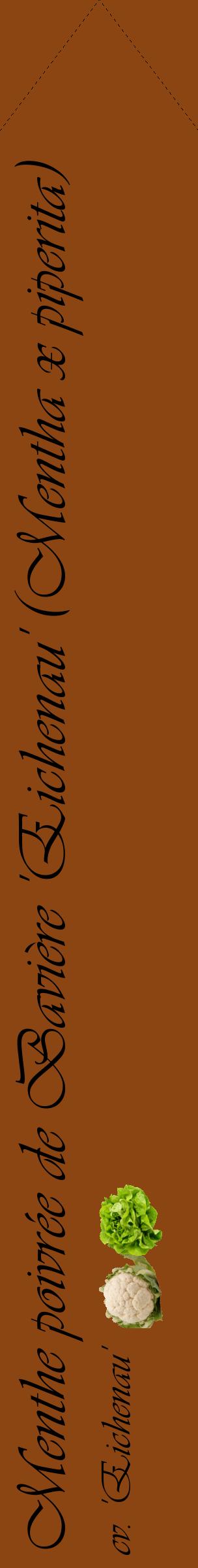 Étiquette de : Mentha x piperita cv. 'Eichenau' - format c - style noire30_simpleviv avec comestibilité simplifiée