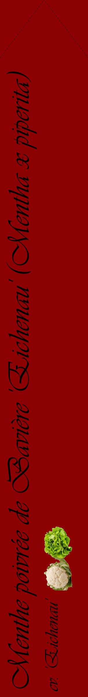 Étiquette de : Mentha x piperita cv. 'Eichenau' - format c - style noire34_simpleviv avec comestibilité simplifiée