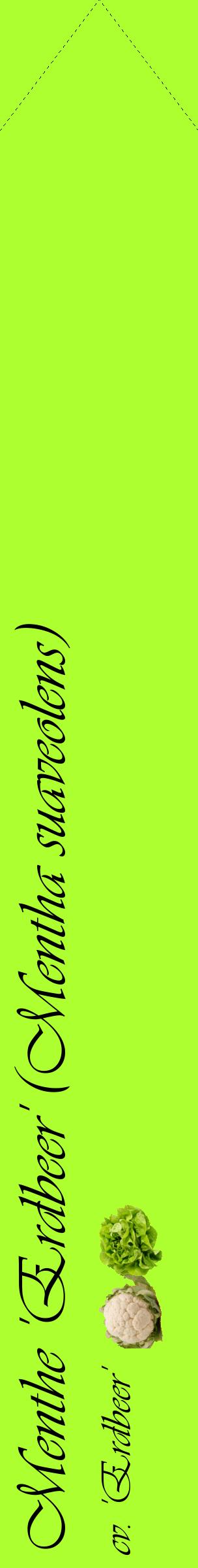 Étiquette de : Mentha suaveolens cv. 'Erdbeer' - format c - style noire17_simpleviv avec comestibilité simplifiée