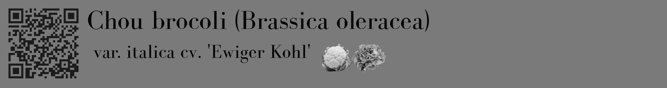 Étiquette de : Brassica oleracea var. italica cv. 'Ewiger Kohl' - format c - style noire3_basique_basiquebod avec qrcode et comestibilité simplifiée