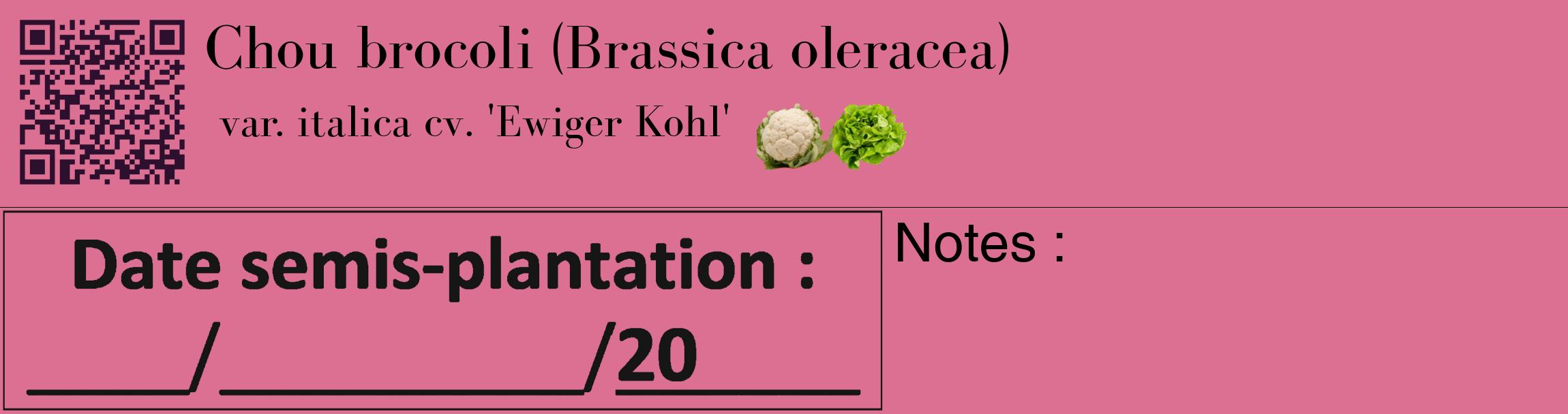 Étiquette de : Brassica oleracea var. italica cv. 'Ewiger Kohl' - format c - style noire44_basique_basiquebod avec qrcode et comestibilité simplifiée