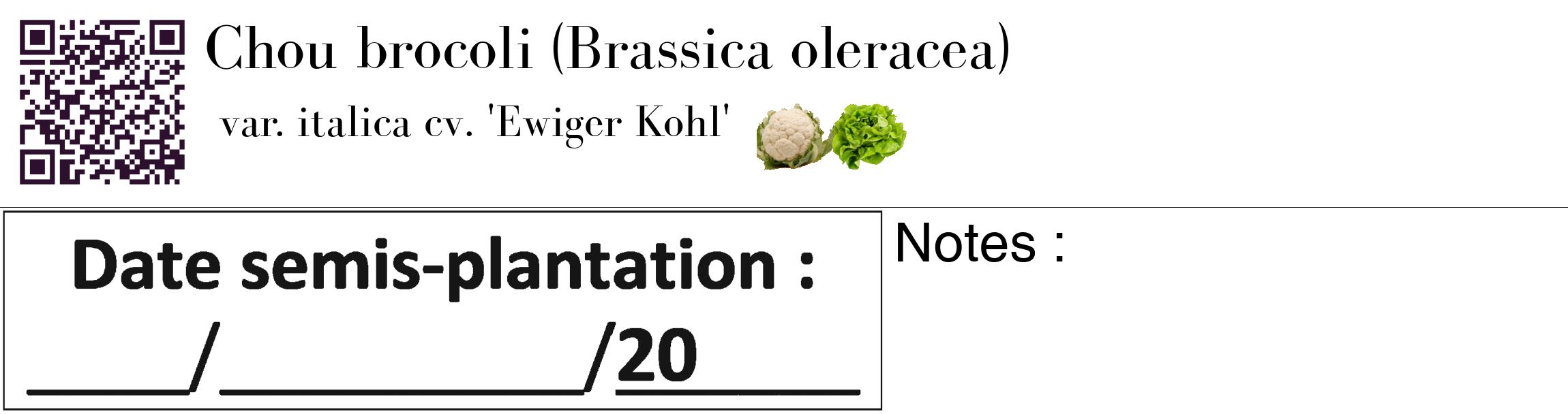 Étiquette de : Brassica oleracea var. italica cv. 'Ewiger Kohl' - format c - style noire60_basique_basiquebod avec qrcode et comestibilité simplifiée